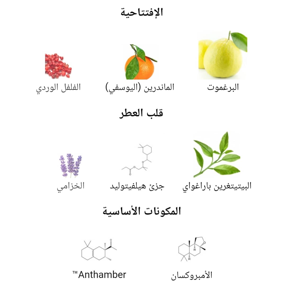 عطر بي إم دابليو الرجالي
