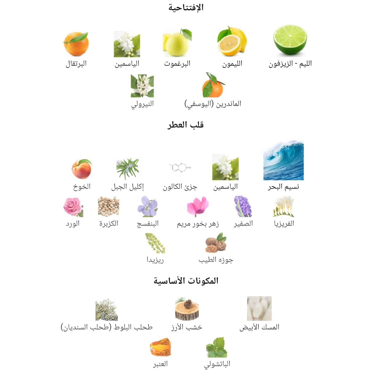 عطر أكوا دي جيو الرجالي