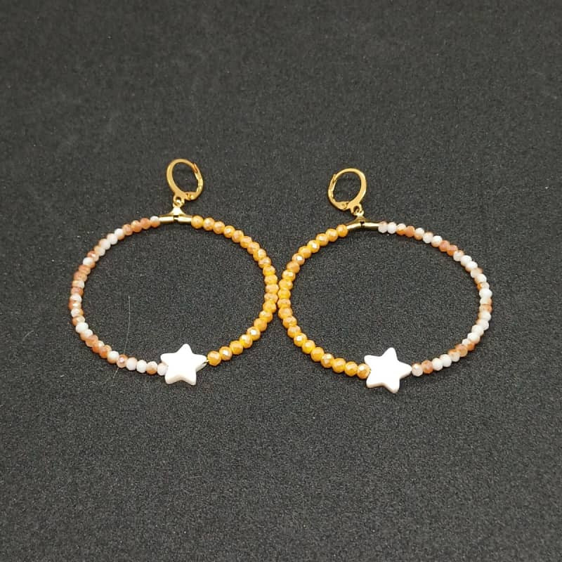 Earrings Stud Crystal And Shell With Hook Stainless