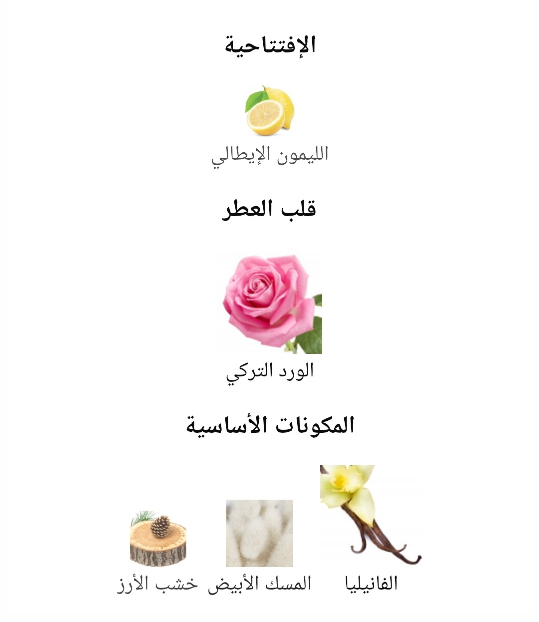 عطر سترونجر وذ يو الرجالي